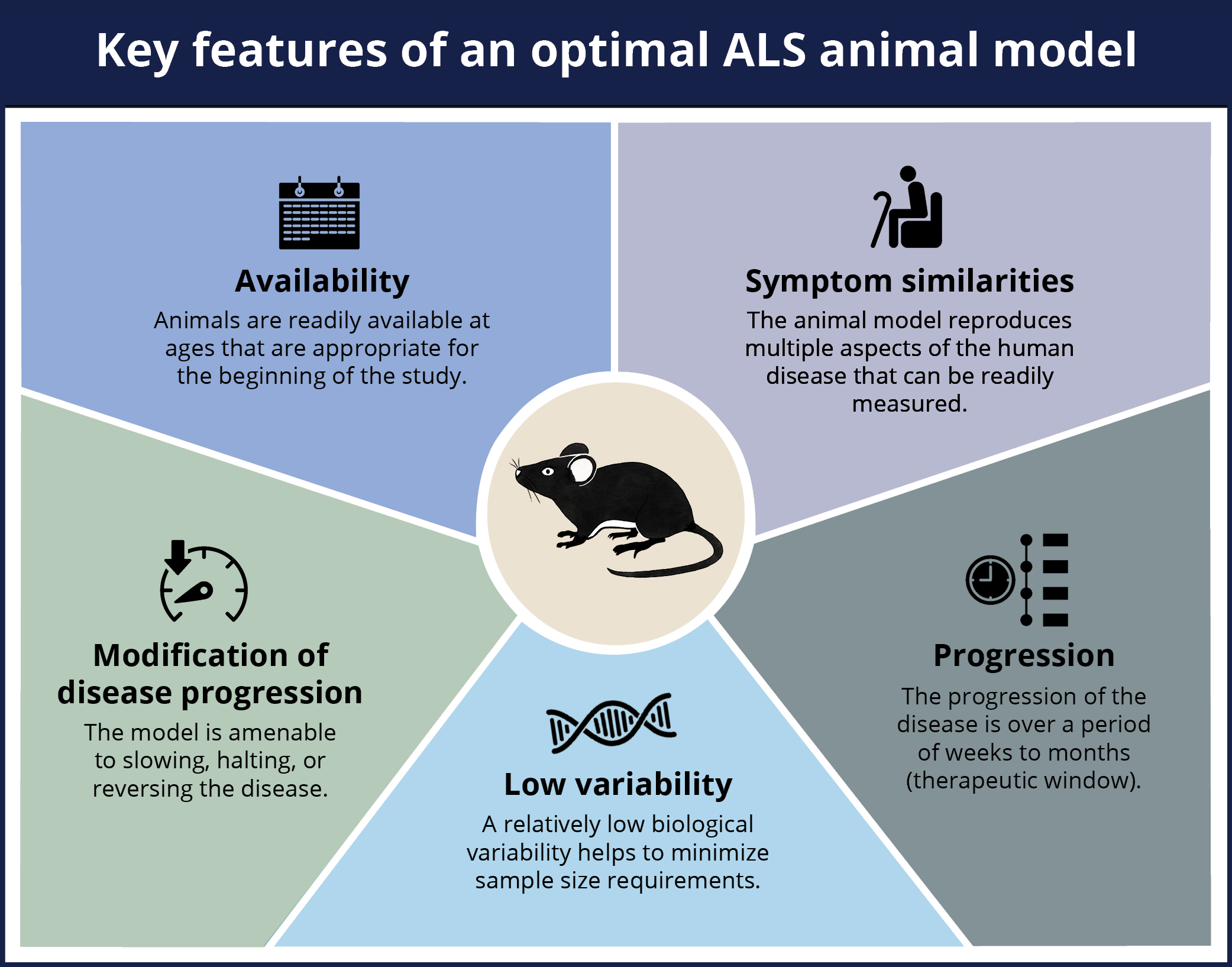Key features of an optimal ALS model