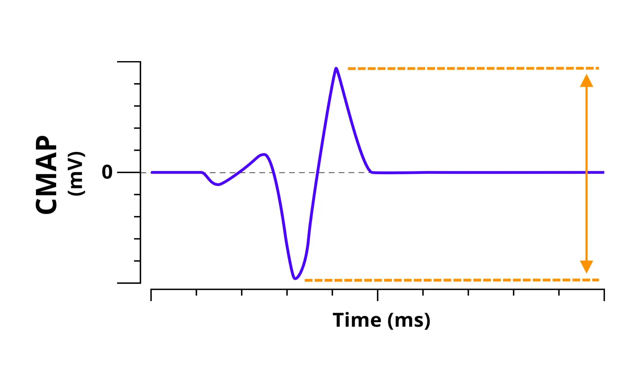 Electrophysiology - CMAP graph