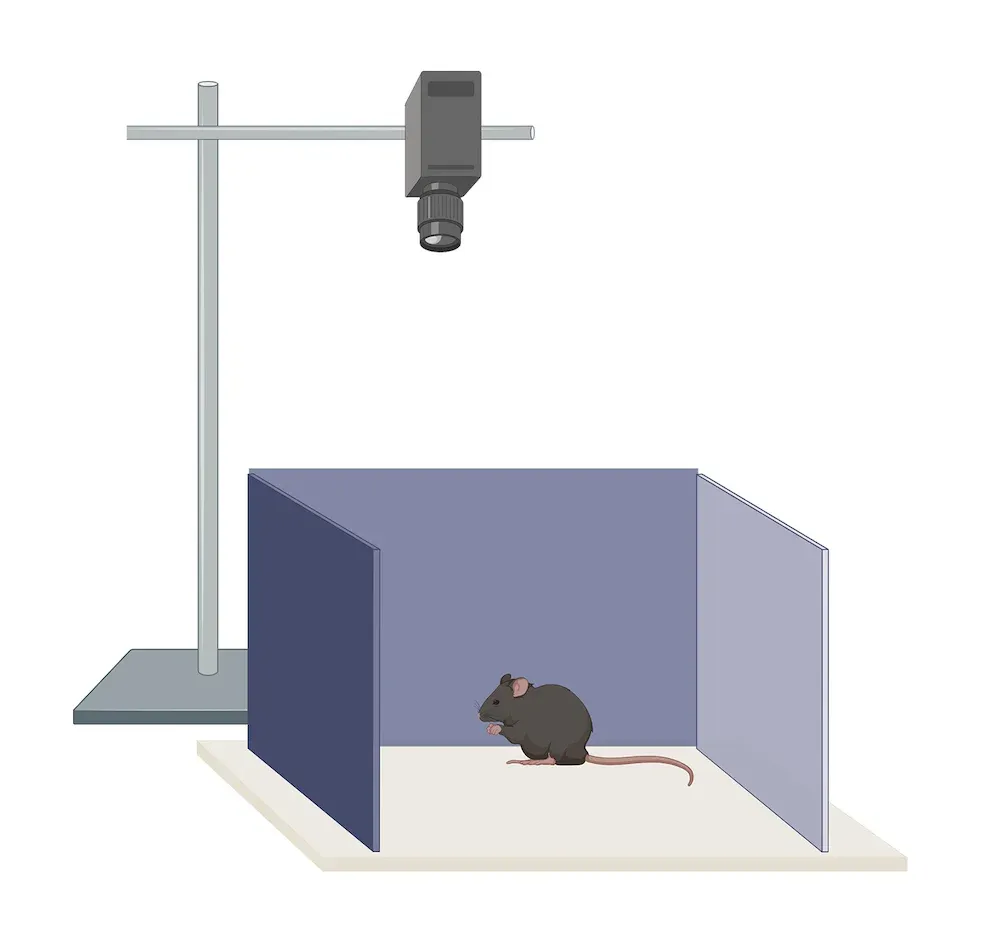 L'image montre une caricature de laboratoire avec une souris noire dans un petit enclos à trois murs.