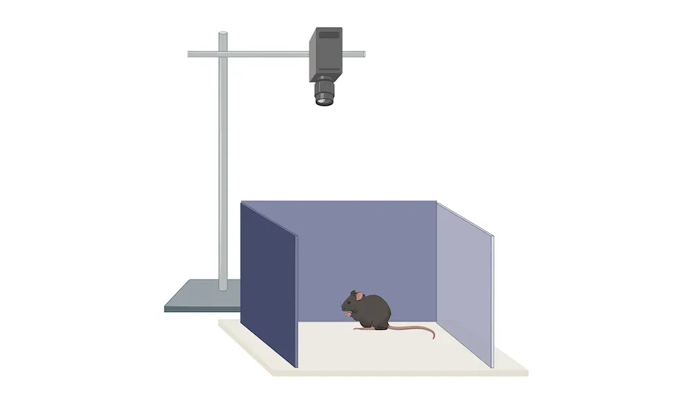 Image shows a cartoon of a laboratory setting with a black mouse in a small enclosure with three walls.