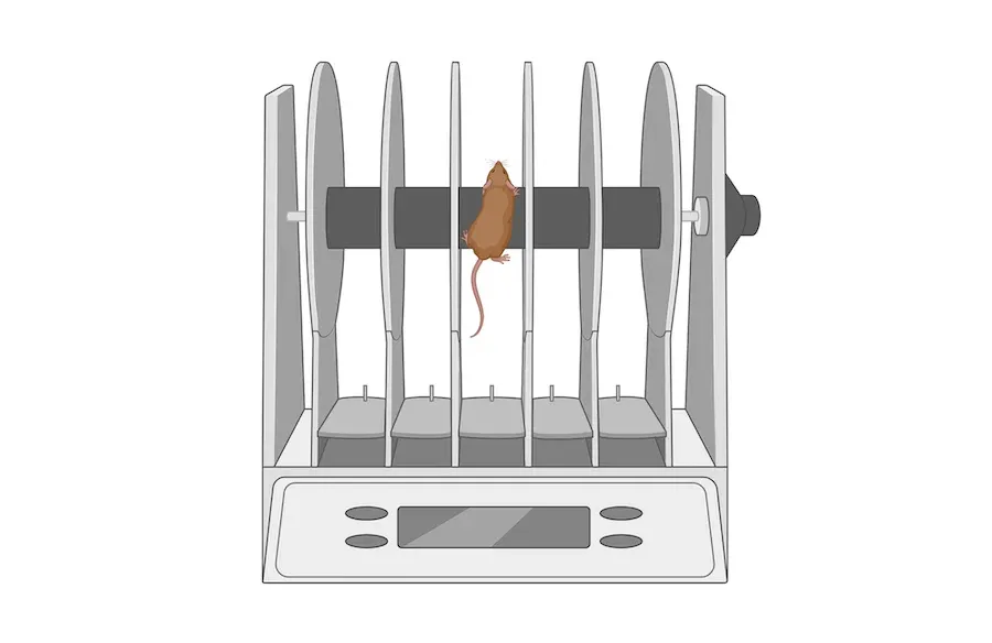 Digital illustration or icon of a Rota-rod - rotation rod