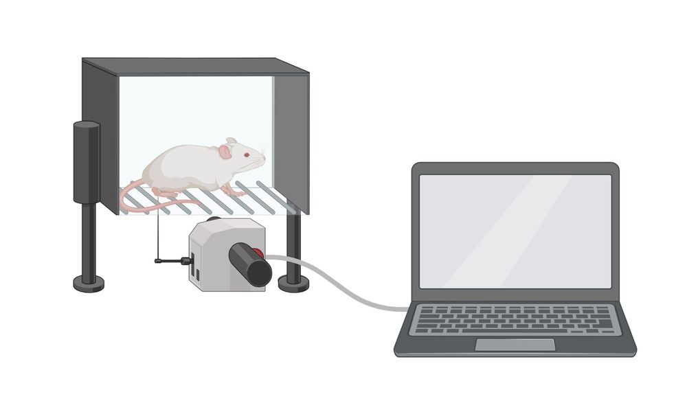 Motor & Sensory Function - Behavioral Testing | Biospective